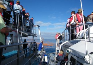 161ste Jaar vir Drenkelinge